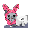 Udis padeda